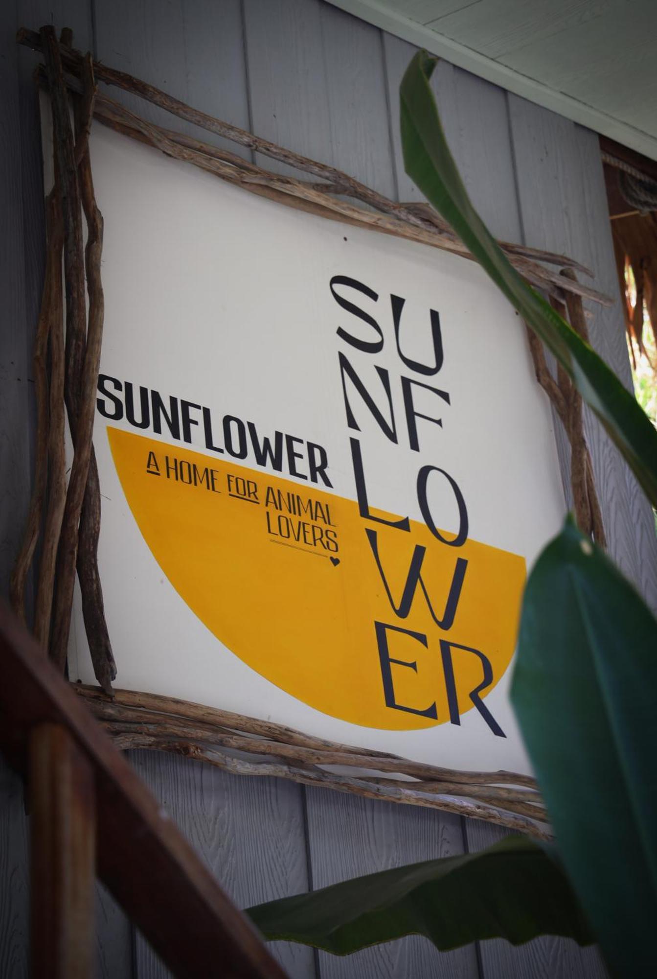 Sunflower Guesthouse And Animal Rescue - リペ島 エクステリア 写真